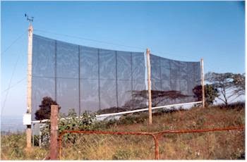 Fog harvesting